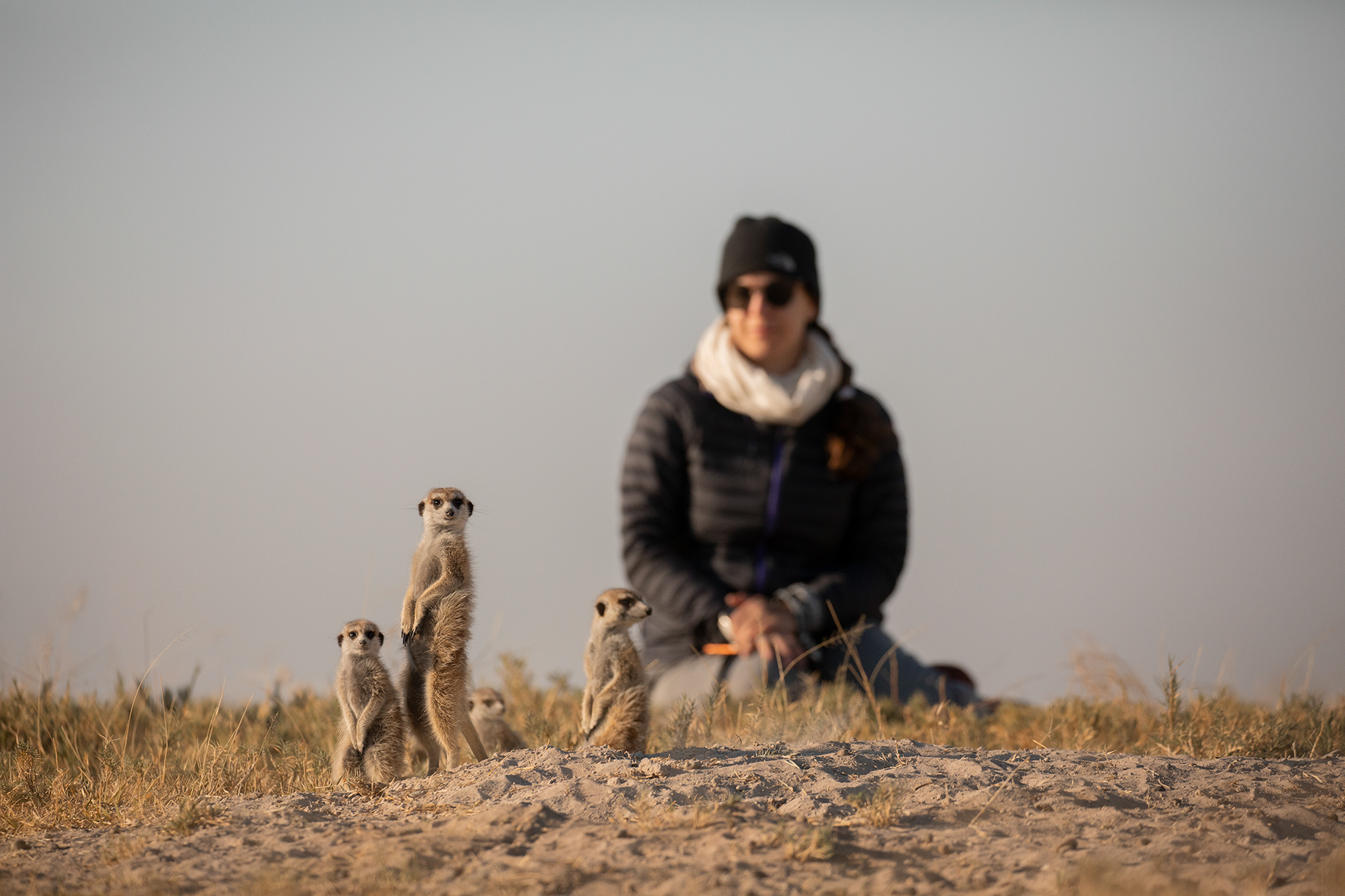 03 Meerkat experience