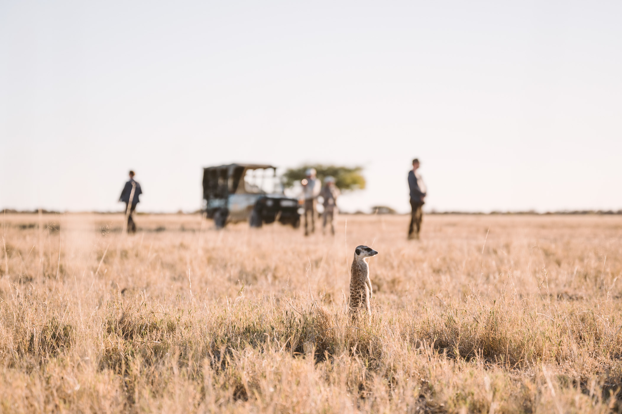 thetravelblog.at_by_ladyvenom_botswana_evaneos-84